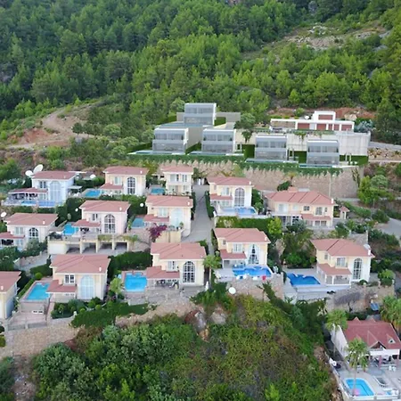Panoramic With A Pool