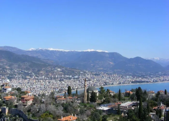Panoramic With A Pool ألانيا